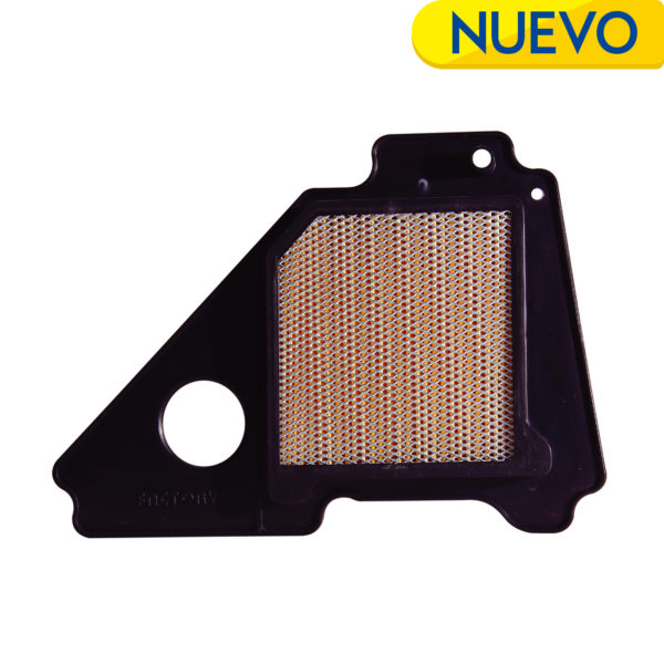 FILTRO AIRE CON PANEL – 6052