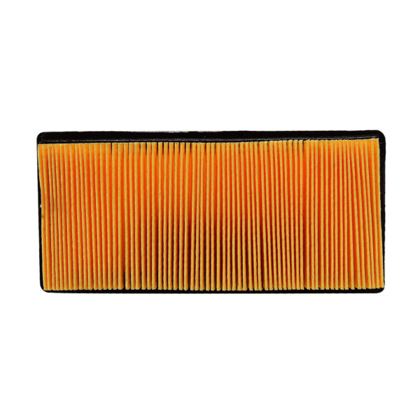 FILTRO AIRE CON PANEL – 6060