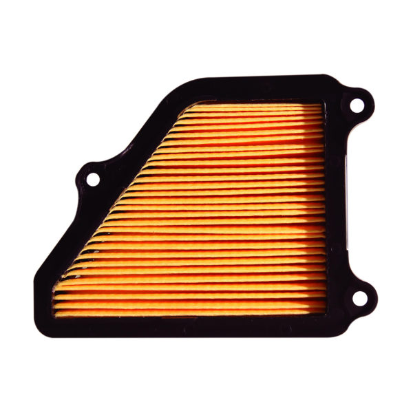 FILTRO AIRE CON PANEL – 6091